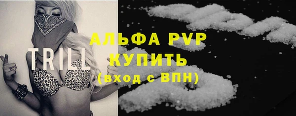 крисы Абаза