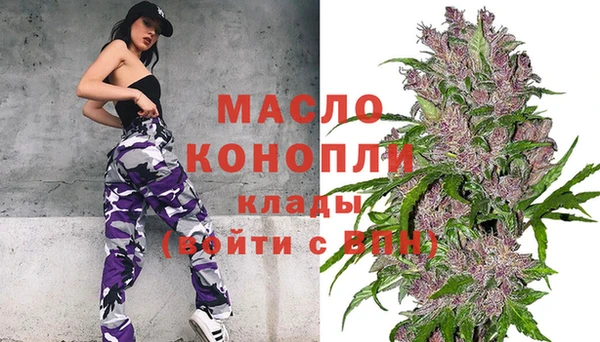 крисы Абаза