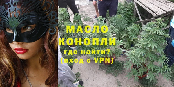 крисы Абаза