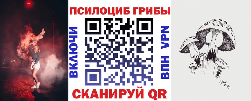 Псилоцибиновые грибы Psilocybine cubensis  где найти наркотики  Циолковский 